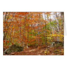 Sunlight Dappled Fall Trail Card