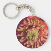 Sunlight In The Hellebore Garden Key Chain