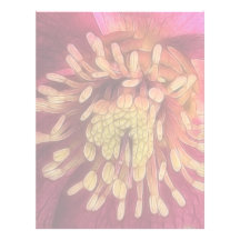 Sunlight In The Hellebore Garden Customized Letterhead