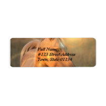 Sunlight Palomino Horse Mailing Label labels