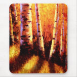 Sunlight Through The Aspens Mouse Pads