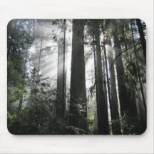 Sunlight through the Redwoods Mouse Mats