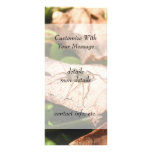 Sunlit Baby Spider Rack Card Template