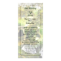 Sunlit Bridge in Park Wedding Program Rack Card Design