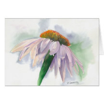 Sunlit Cards