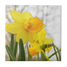Sunlit Daffodils Tiles