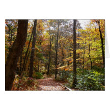 Sunlit Fall Trail Card