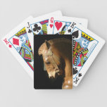 Sunlit Horse Deck Of Cards