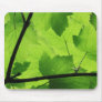 Sunlit Leaves Mousepad