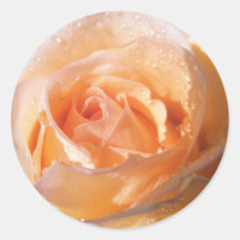 Sunlit Rose Wedding Round Stickers