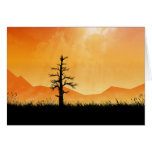 Sunlit Tree cards