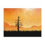Sunlit Tree postcards