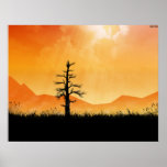 Sunlit Tree posters