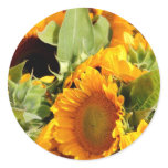 Sunny Bunch Sticker