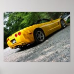 Sunny Corvette posters