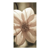 Sunny Dahlia Photo Greeting Card