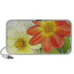 Sunny Dahlias speakers