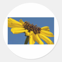 Sunny Day Flower Stickers
