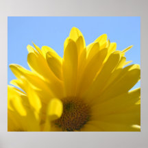 Sunny Day Posters