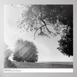 Sunny Day, University of California, Santa Cruz Print