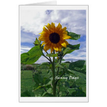 Sunny Days Card
