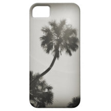 Sunny Florida iPhone 5 Covers