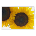 Sunny Flower Kinda Day Greeting Card