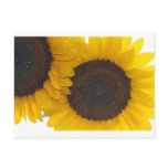 Sunny Flower Kinda Day Postcards