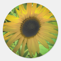 Sunny Flower Round Sticker