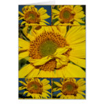 Sunny Flowery Sunshiney Day Greeting Card