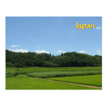 Sunny Green Countryside Postcards