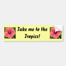 Sunny Hibiscus, Take me to the Tropics Bumper Bumper Sticker