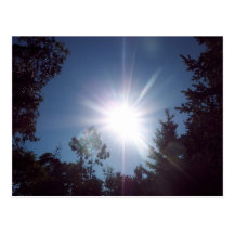 Sunny in the Northwest Post Cards