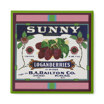 Sunny Loganberry Fruit