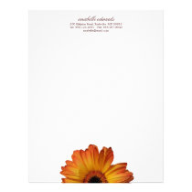 Sunny Orange gerbera daisy flower bloom personal letterhead