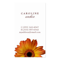Sunny Orange gerbera daisy flower personal calling business cards