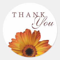 Sunny Orange gerbera daisy flower thank you stickers