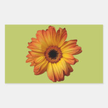 Sunny Orange gerbera flower bloom stickers