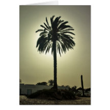 Sunny Palm Greeting Cards