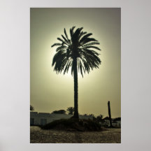 Sunny Palm Print