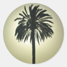 Sunny Palm Stickers
