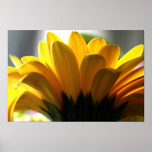Sunny Posters