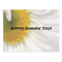 Sunny Summer Days Post Cards