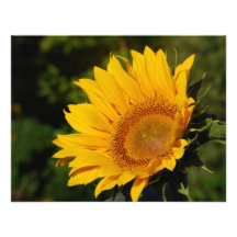 Sunny sunflower and meaning personalized invites