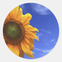 sunny sunflower round stickers