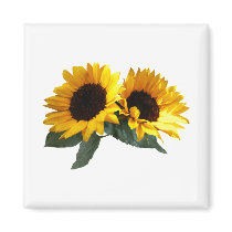 Sunny Sunflowers Magnets