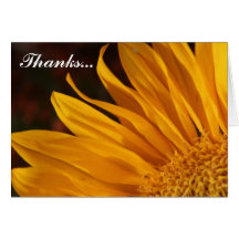 Sunny Thank You Greeting Card
