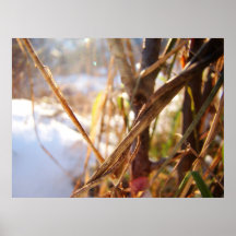 Sunny winter poster