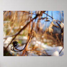 Sunny winter poster