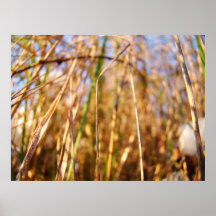Sunny winter poster
